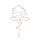 pin sylvestre