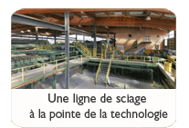 Une scierie � la pointe  de la technologie